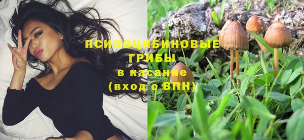 бошки Инта