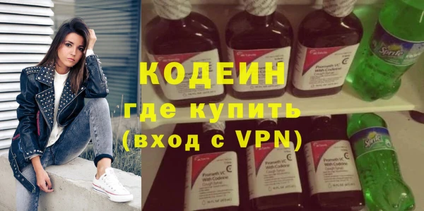 apvp Инсар