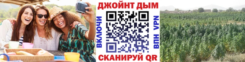 Каннабис план Невельск